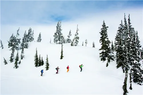 open-uri20171115-800-19fo1pm