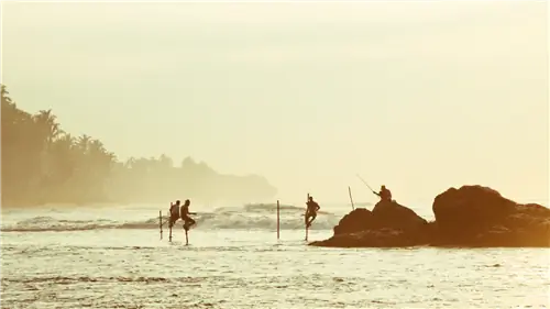 open-uri20171115-1791-so6vyp