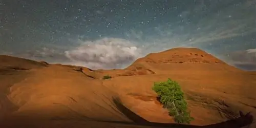 Поскольку Трамп сокращает национальные земли, заинтересованные стороны сопротивляются