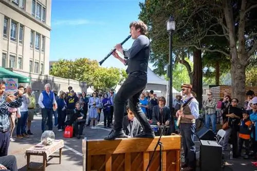 Книжный фестиваль Bay Area также предлагает бесплатные живые выступления в дополнение к обычной книжной еде.