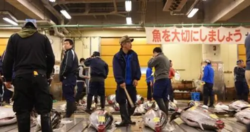 Одни из самых свежих суши в Нью-Йорке находятся не там, где вы думаете