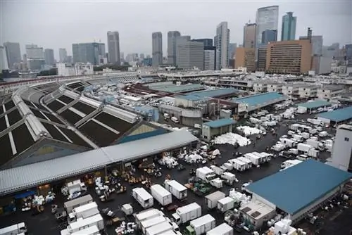 Рынок Цукидзи в Токио.