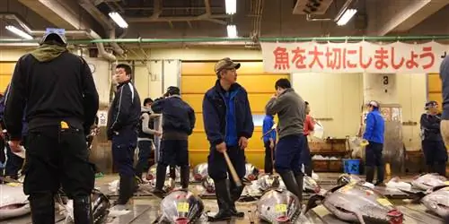 Одни из самых свежих суши в Нью-Йорке находятся не там, где вы думаете