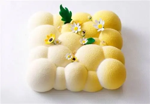 открытый-uri20171221-7675-1qqthmv