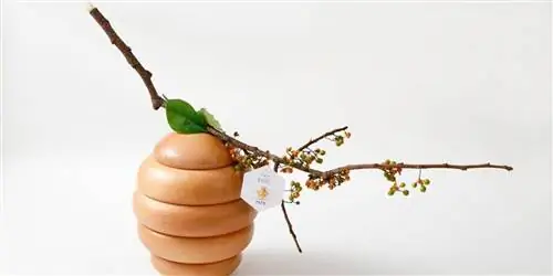 Эти изысканные пирожные на грани искусства