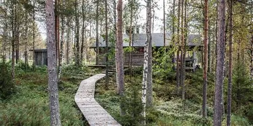 Сауна-тур в Финляндию – отдых нашей мечты