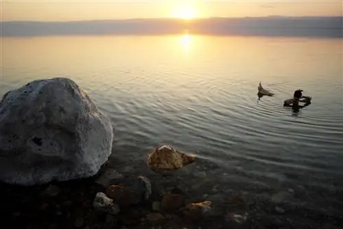 В Иордании можно поплавать в Мертвом море, которое считается самой низкой точкой на земле.