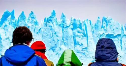 Я отправился в круиз мечты в Антарктиду, а потом заболел COVID