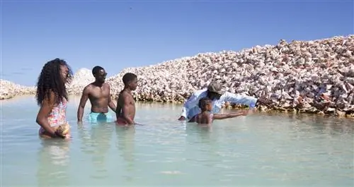 Пляжи Британских Виргинских острововПриродаDay6