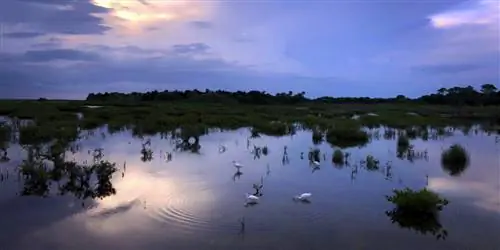 Приключение для всех возрастов в Дейтона-Бич и на космическом побережье