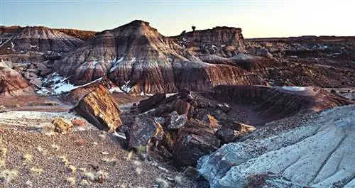Нарисованная пустыня