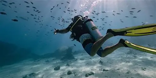 Отправляйтесь в путешествие на всю жизнь на островах Рангироа и Тикехау