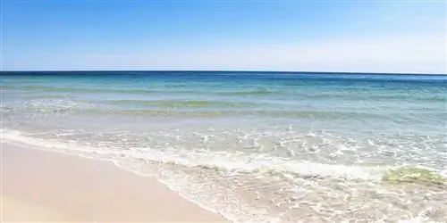 Блаженное путешествие по Галф-Шорс и Оранж-Бич