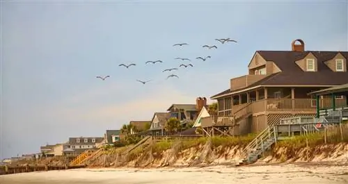 Чайки пролетают мимо прибрежных домов