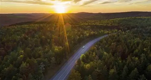 Автомобиль едет по дороге через лес
