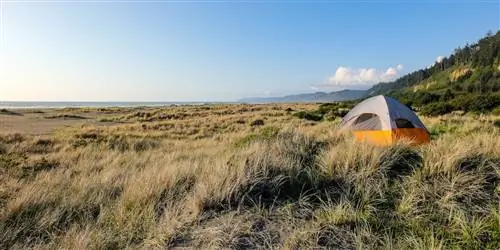 Лучшие места для пляжного кемпинга в Калифорнии