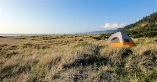 Лучшие места для пляжного кемпинга в Калифорнии