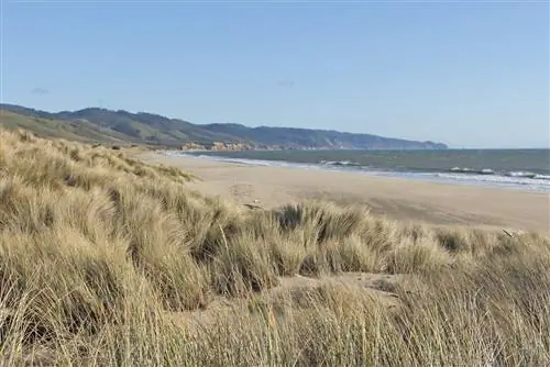 Прогуляйтесь по пескам пляжа Лимантур и соберите коряги для костра в прибрежном лагере.