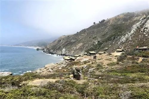 Коттеджи Steep Ravine Cabins в округе Марин находятся в нескольких шагах от пляжа и горячих источников.