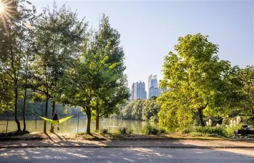 Пьемонт Парк