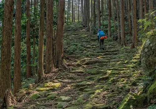 Кумано Кодо