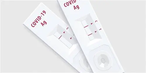 Путешественникам больше не нужен тест на COVID для въезда в США