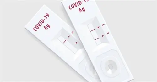 Путешественникам больше не нужен тест на COVID для въезда в США