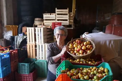 Грациэлла Траини выросла на ферме и продолжает работать на ней по сей день.