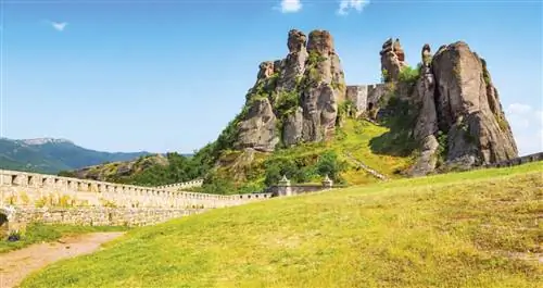 Кошачья стена, гнездящаяся между скалами.
