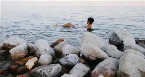 Человек плавает в мертвом море.