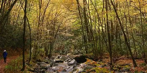 Грейт-Смоки-Маунтинс