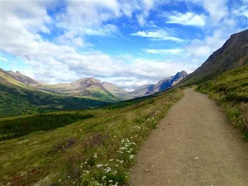 Flattop Trail - одна из самых популярных троп в Анкоридже.