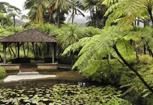 Ботанический сад Jardin de Balata, Мартиника, заморский регион французских островов и департамент на Малых Антильских островах в восточной части Карибского моря, Атлантический океан