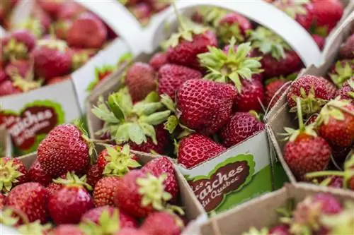 открыть-uri20180607-16957-1patt7l