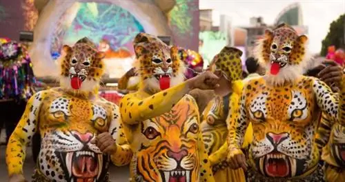 Восстание тигрицы: почему сейчас самое время увидеть 200-летний фестиваль тигра в Индии
