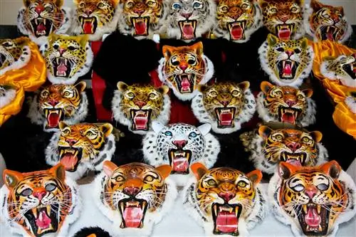 open-uri20180613-9149-ys5zhp