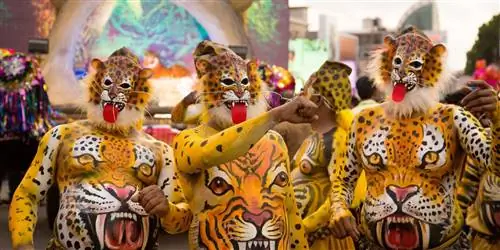 Восстание тигрицы: почему сейчас самое время увидеть 200-летний фестиваль тигра в Индии