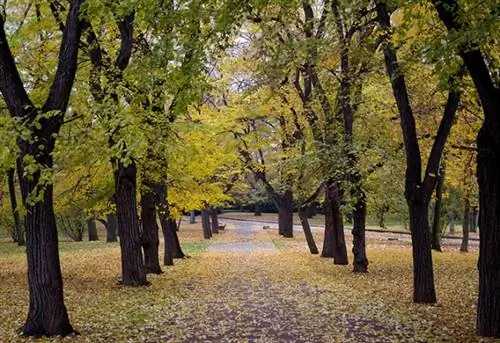 Летна Парк в Праге, Чехия