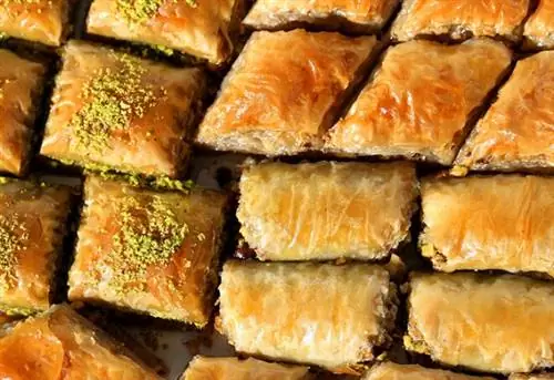 Свежая вкусная турецкая пахлава с грецкими орехами