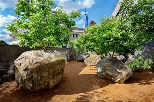 В летние месяцы деревья в Саду камней покрываются яркими зелеными листьями. Зимой голые ветки остаются вросшими в валуны.