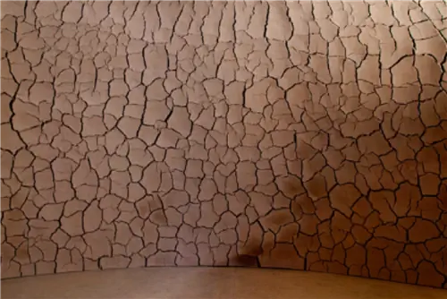 Хотя Домо-де-Архила в настоящее время считается постоянной инсталляцией, природные материалы однажды распадутся, и сооружение перестанет существовать в своем нынешнем виде.