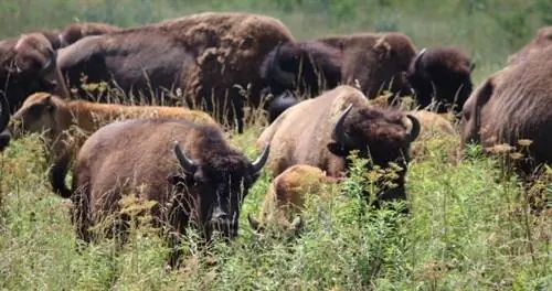 Спланируйте свой летний побег