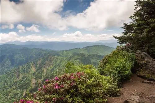 открытый-uri20180703-5388-lss5nx