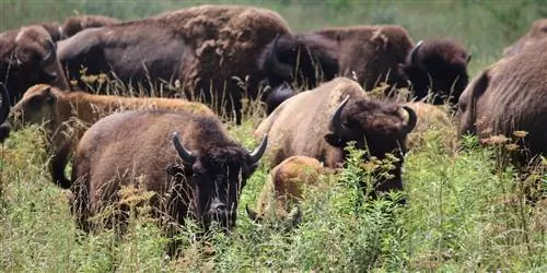 Спланируйте свой летний отдых