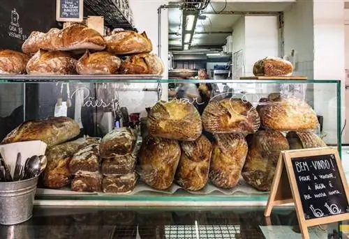 Медленная пекарня Медленная пекарня