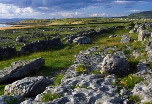 Буррен, графство Клэр, Ирландия, Скалистый пейзаж Буррен, графство Клэр, Ирландия, Скалистый пейзаж