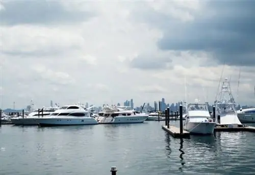 Кальсада-де-Амадор