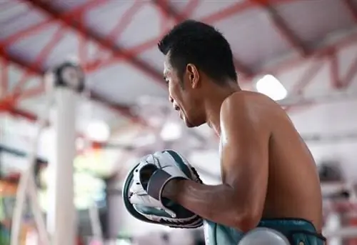 Тренировка боксера среднего возраста в тренажерном зале