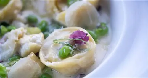 Паста на тарелке