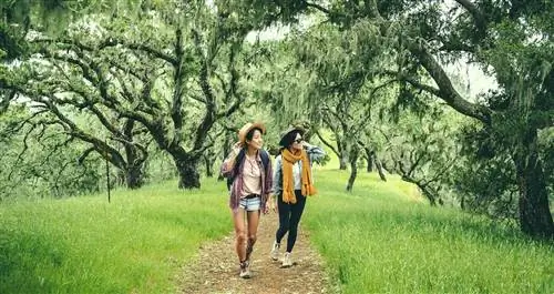 Пара идет по тропинке среди деревьев.